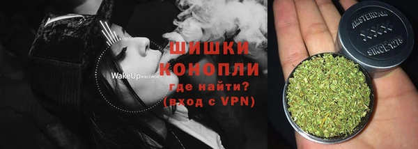 индика Балабаново