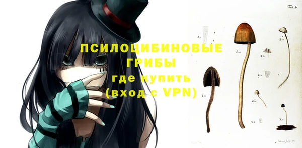 соль ск Балахна
