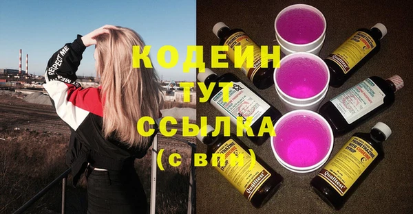 индика Балабаново