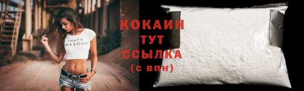 индика Балабаново