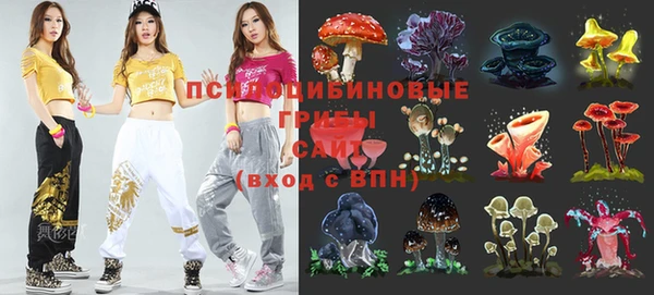 соль ск Балахна