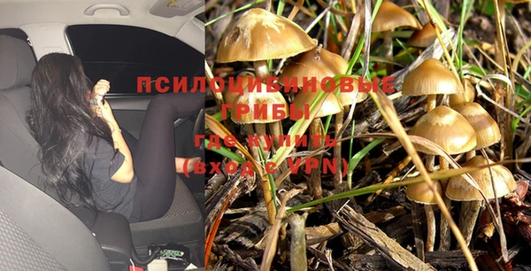 соль ск Балахна