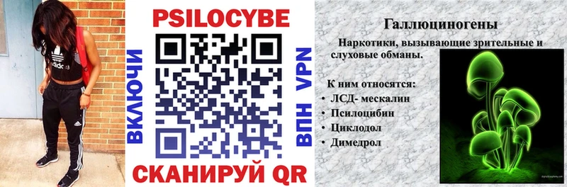 купить   Нижняя Тура  Галлюциногенные грибы Psilocybe 
