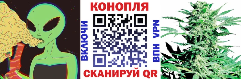 цена наркотик  Нижняя Тура  Каннабис индика 